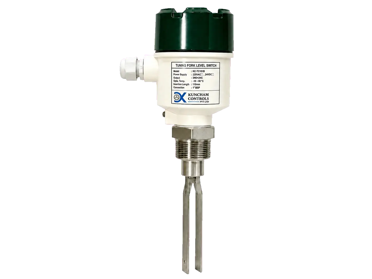 Tuning Fork Level Switch
